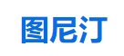 圖尼汀論文