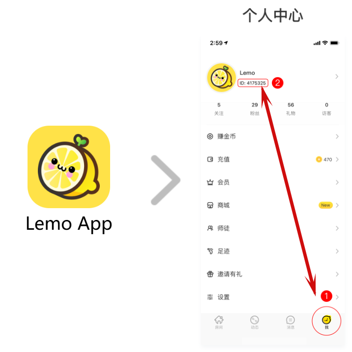 如何查找 Lemo ID? 如何查找 Lemo ID?